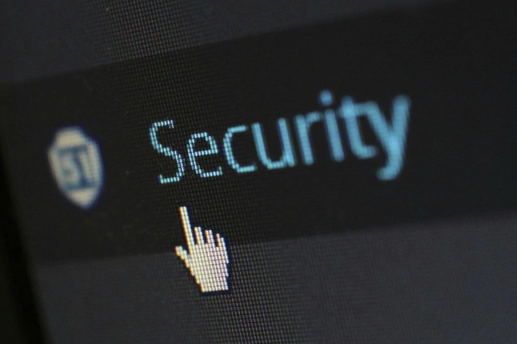 Security Assessment